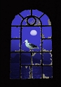 Möwe Fenster_Bildgröße ändern